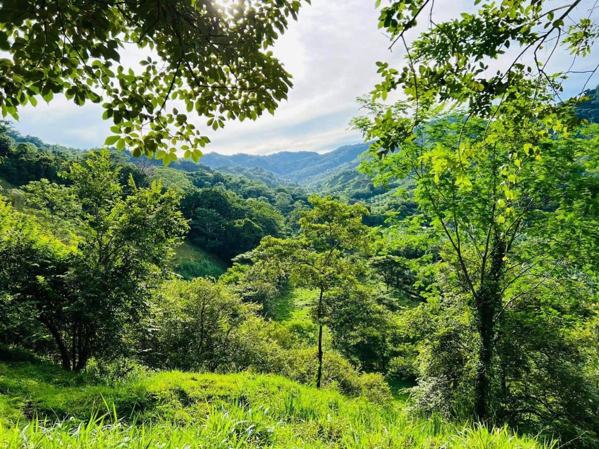 Cabana Tolle Vista Savegre Εξωτερικό φωτογραφία